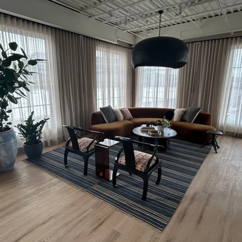 A modern living room features a curved brown sofa, a round coffee table, two black chairs, a striped rug, and plants.